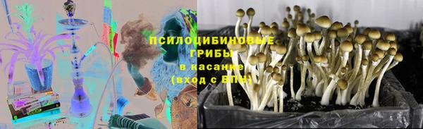 кокс Верея