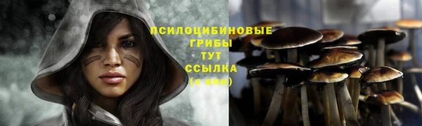 тгк Верхний Тагил